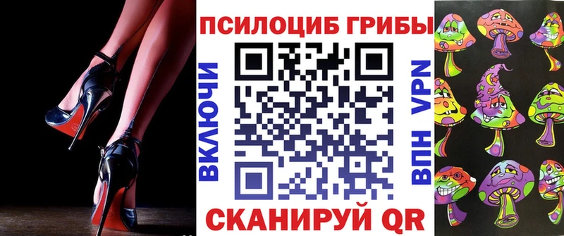 Купить где Ульяновск Галлюциногенные грибы ЛСД